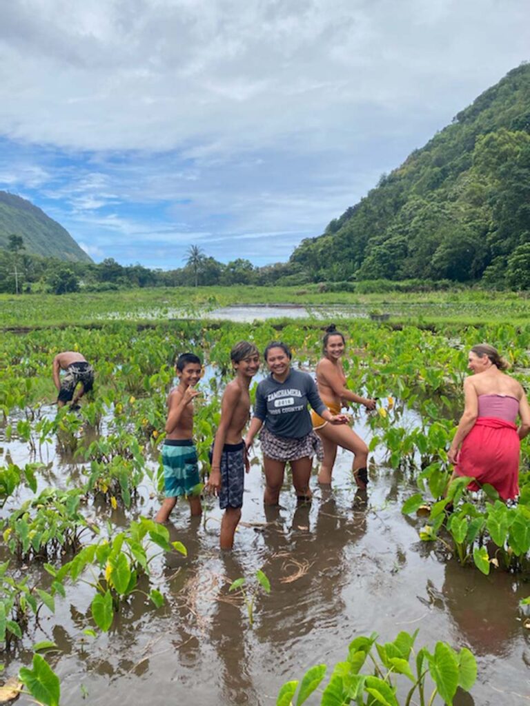 Keiki of da Aina